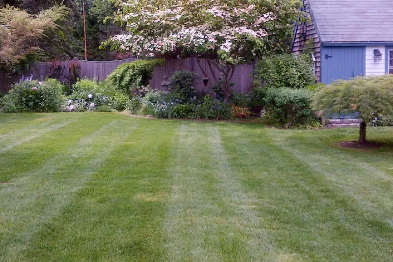 Landscape design with flower beds and plantings