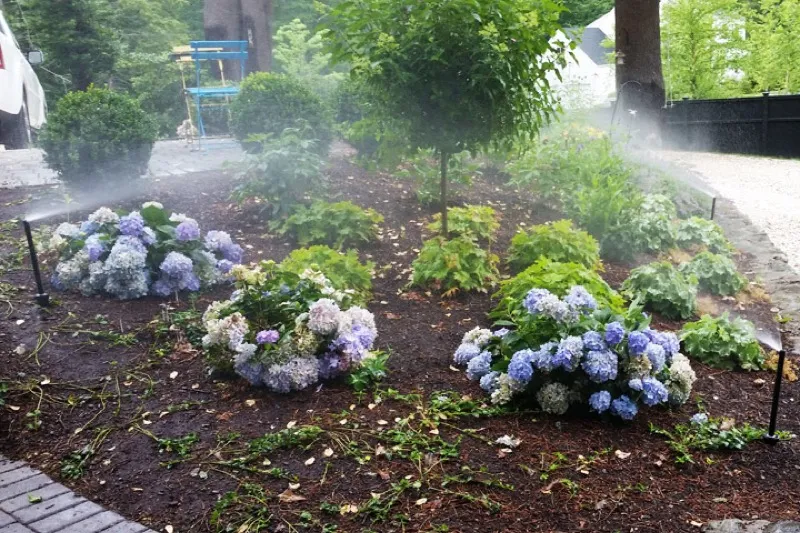 Sprinkler irrigation system installation