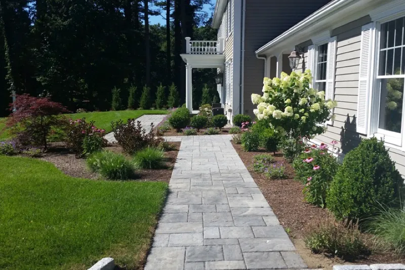 Tree care and pruning service