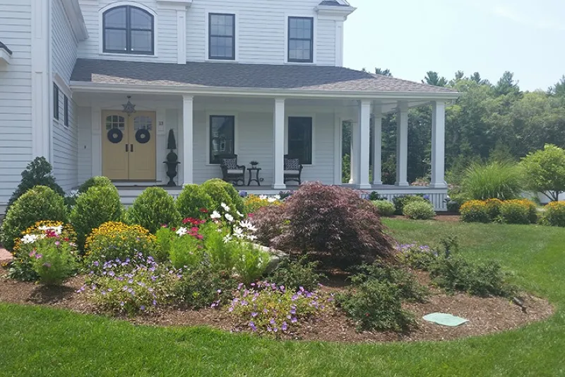 Mature tree health and maintenance work